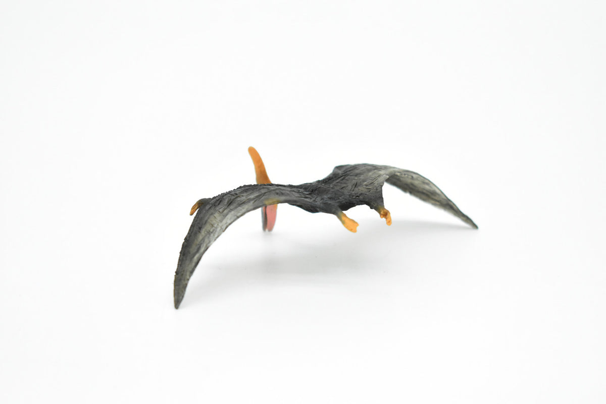 Pteranodon Dinosaur, Museum Quality, Animal, Educational, Realistic Hand Painted, Figure, Lifelike Model, Vintage Replica, Toy, Gift,    3 Inches.    F8121 B117