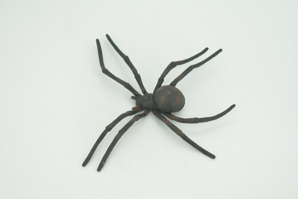 Spider, Black Widow, Latrodectus, High Quality, Hand Painted, Hard Rubber, Insect, Realistic, Figure, Model, Replica, Toy, Kids, Educational, Gift,     4"   CH290 BB179