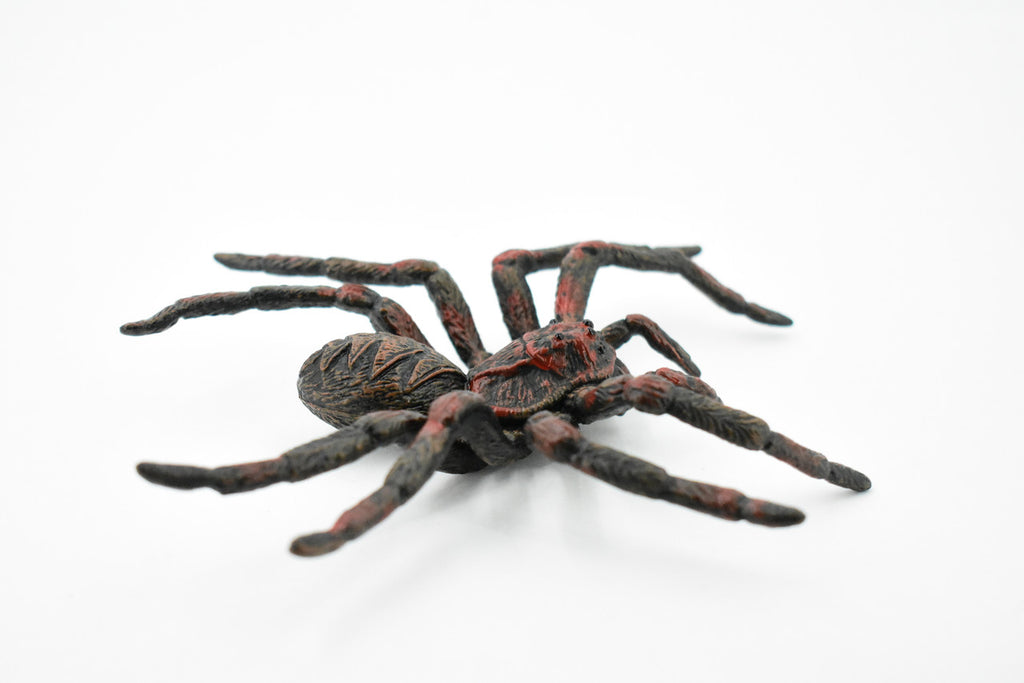 Wolf Spider, Arachnida, Museum Quality, Educational, Hand Painted, Rubber Insect, Diorama Model, Realistic, Kids, Toys, 5 Inches. 