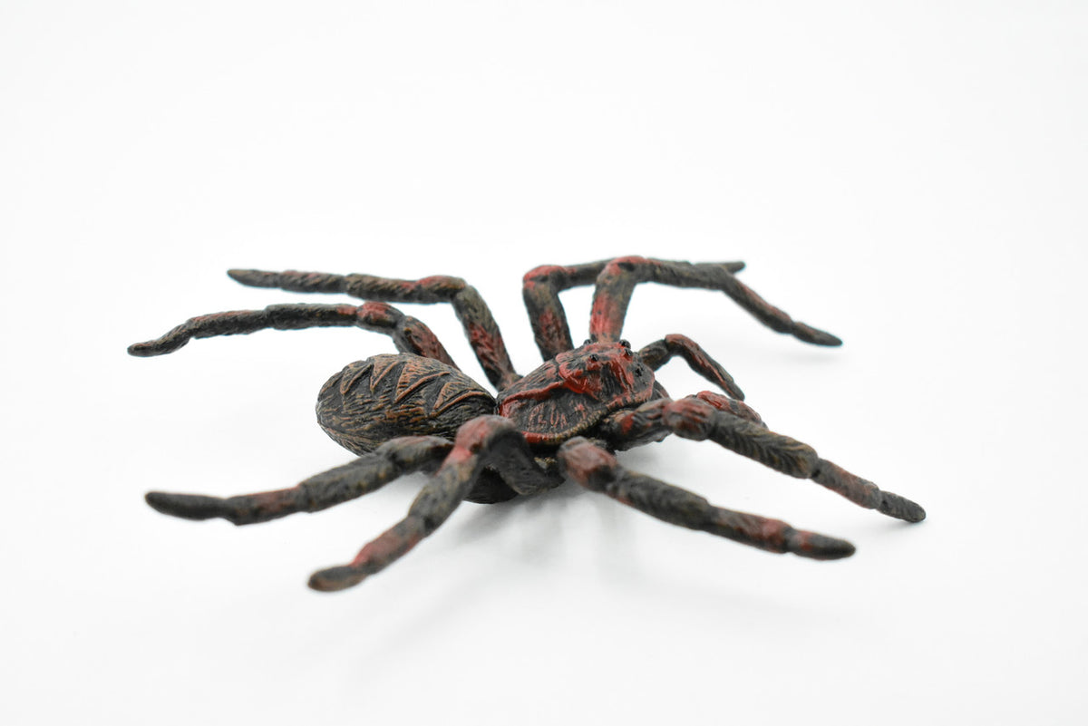 Wolf Spider, Arachnida, Museum Quality, Educational, Hand Painted, Rubber Insect, Diorama Model, Realistic, Kids, Toys, 5 Inches. 