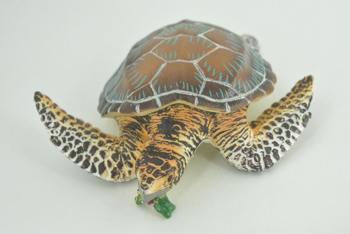 Turtle, Green Sea Turtle, Museum Quality, Hand Painted, Rubber Reptile, Realistic, Diorama, Model, Replica, Toy, Kids, Educational, Gift,   6 Inches   CH1003 BB221