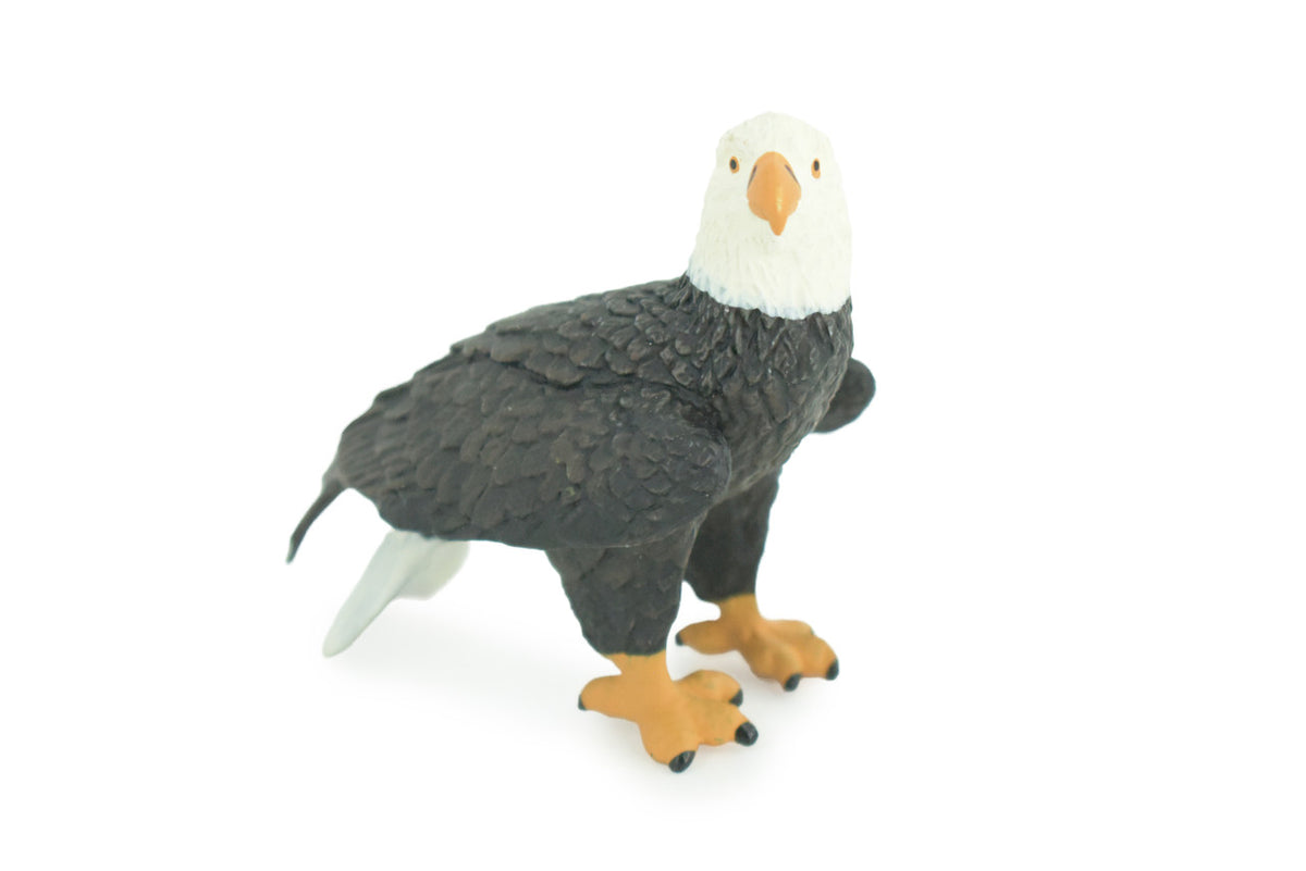 Bald Eagle, Hand Painted, Educational, High Quality Rubber Bird, Realistic, Raptor, Bird of Prey, Diorama, Toys, Kids, Gift, 2 1/2 Inches. CH923 BB204