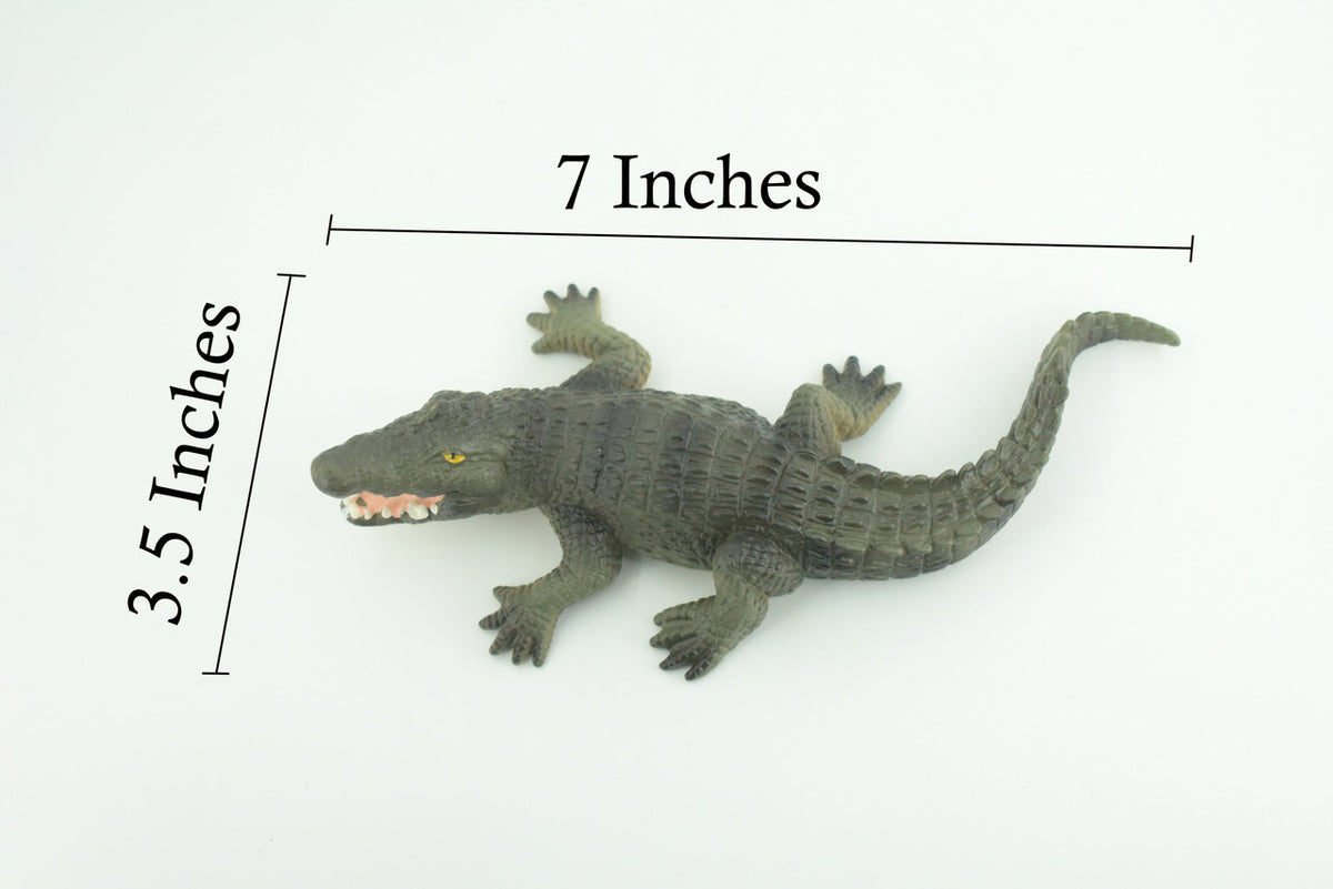 Alligator, American, Hand Painted, Museum Quality, Solid Rubber Animal, Educational, Realistic, Figure, Toy, Kids, Replica, Gift, 7 Inches. CH888 BB202