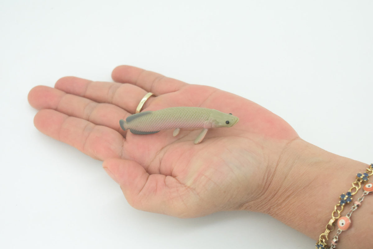 Arapaima, Paiche, Amazon River Basin Fish, Hand Painted, Educational, Rubber Animal, Realistic Figure, Lifelike, Gift,    3"    SF30 B44