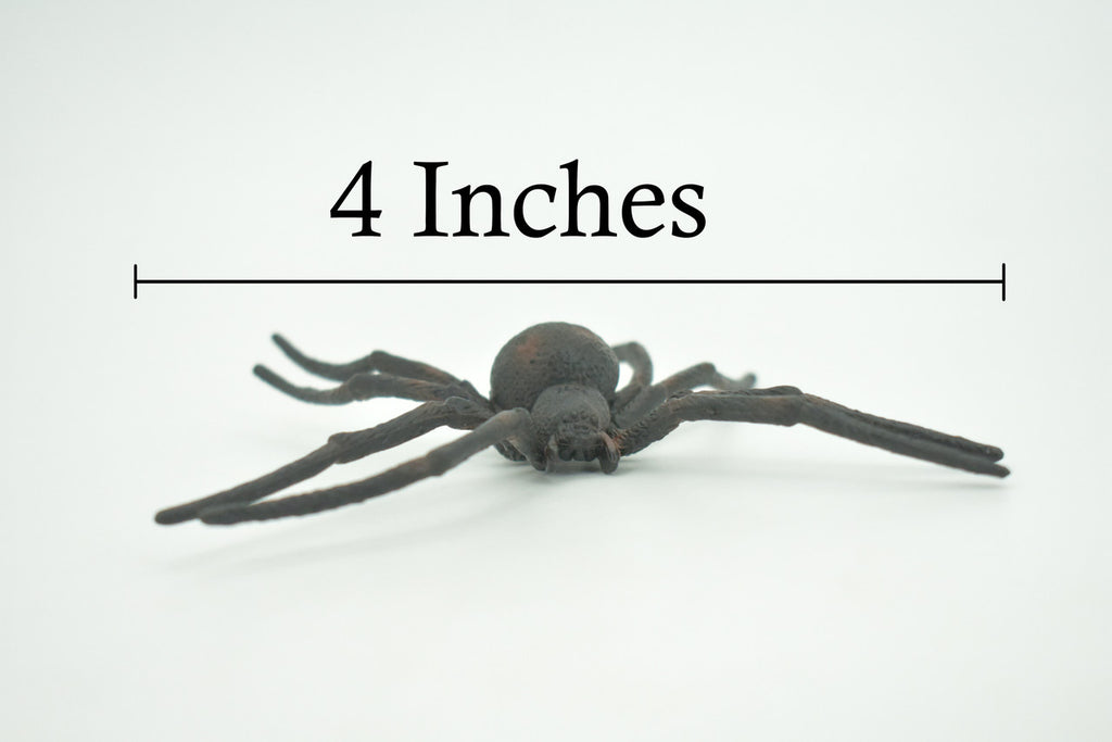 Spider, Black Widow, Latrodectus, High Quality, Hand Painted, Hard Rubber, Insect, Realistic, Figure, Model, Replica, Toy, Kids, Educational, Gift,     4"   CH290 BB179