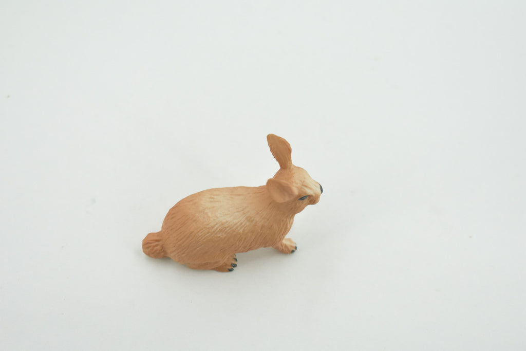 Rabbit, Hare, Bunny Rabbits, Museum Quality, Hand Painted, Rubber Animal, Toy, Figure, Realistic, Model, Replica, Kids, Educational, Gift,        2"      CH694 BB173