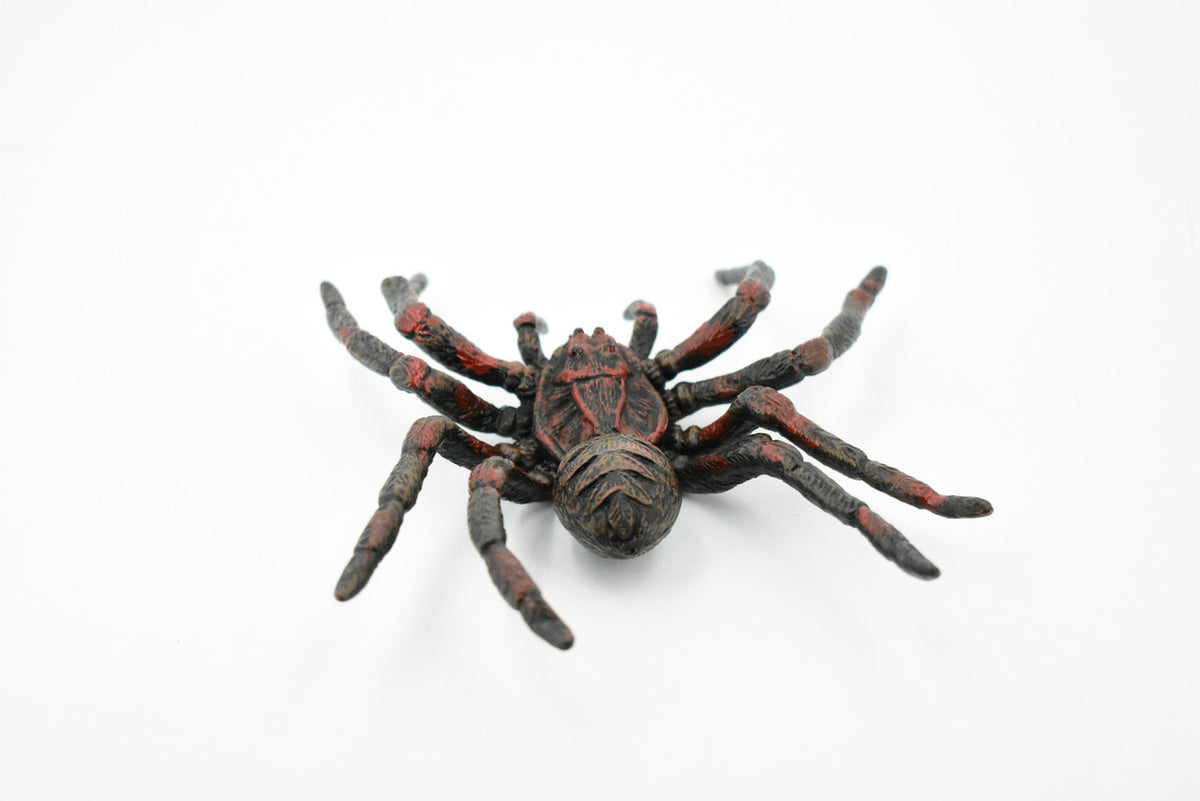 Wolf Spider, Arachnida, Museum Quality, Educational, Hand Painted, Rubber Insect, Diorama Model, Realistic, Kids, Toys, 5 Inches. 