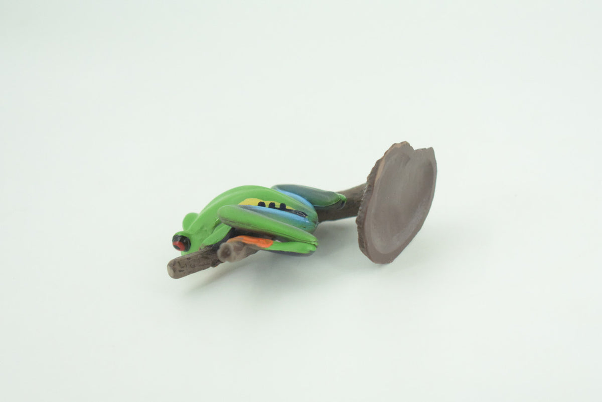 Red Eye Tree Frog, Hand Painted, Museum Quality, Rubber, Educational, Realistic, Diorama Model, Figure, Lifelike, Replica, Gift,   3 inches.    CH1012 BB217