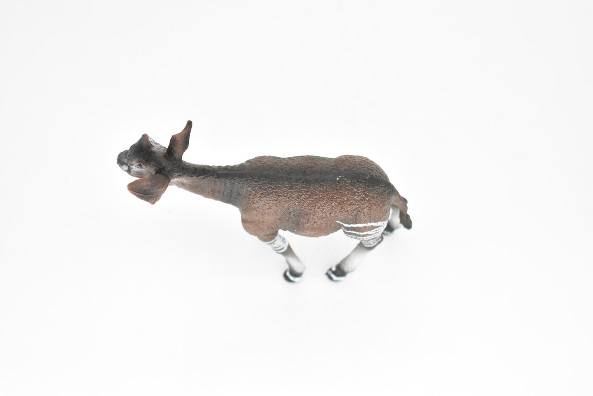 Okapi, Forest Giraffe, Museum Quality, Hand Painted, Educational, Rubber Animal, Realistic Toy Figure, Diorama Model, Kids, Gift,   4 1/2 Inches.   CH104 BB88