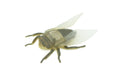 Fly, Houseflies, Very Nice Rubber Insect, Educational, Realistic Hand Painted, Figure, Lifelike Model, Figurine, Replica, Gift, 2" US22 B44