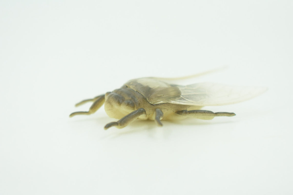 Fly, Houseflies, Very Nice Rubber Insect, Educational, Realistic Hand Painted, Figure, Lifelike Model, Figurine, Replica, Gift,     2"   US22 B44