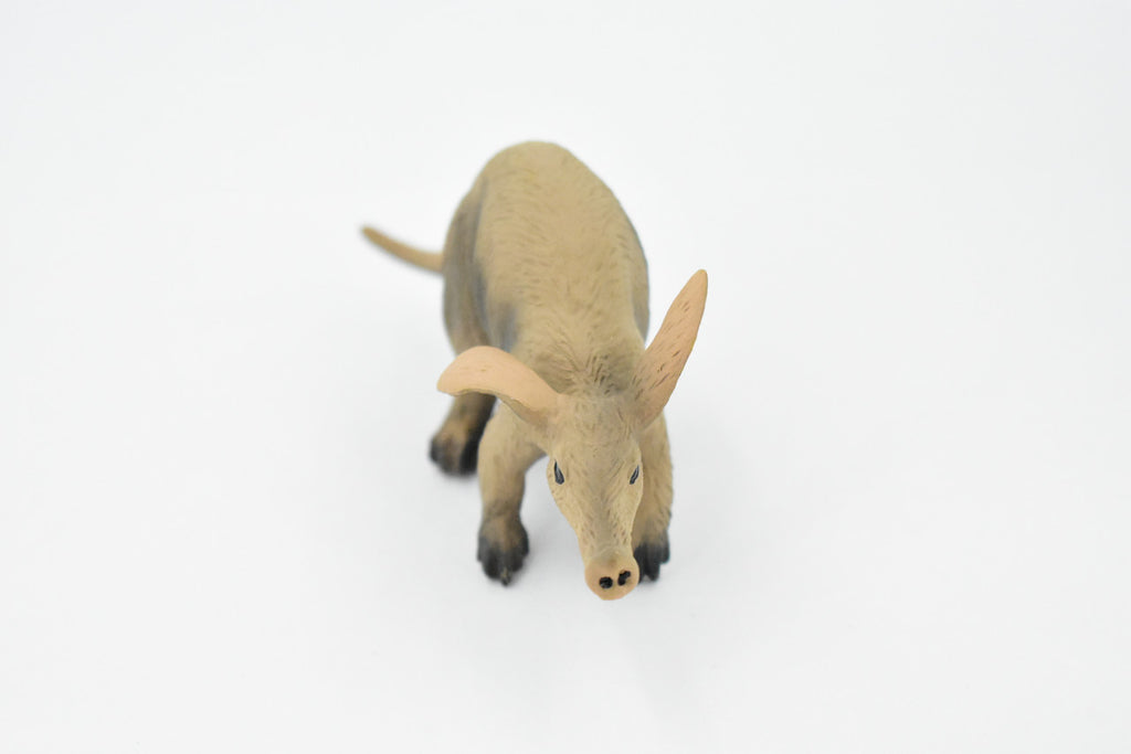 Aardvark, Orycteropus afer, Museum Quality, Hand Painted, Rubber Animal, Realistic Toy Figure, Model, Replica, Kids, Educational, Gift,       5 Inches.     CH307 BB129