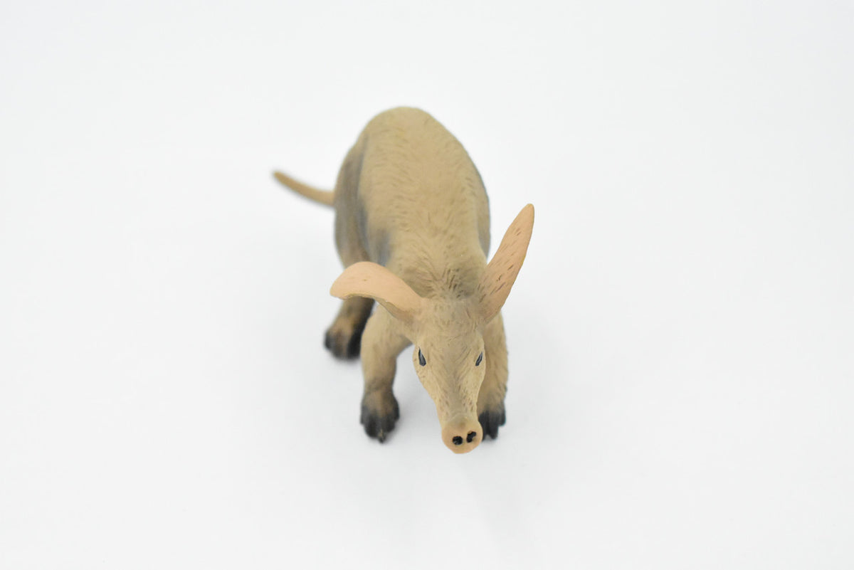 Aardvark, Orycteropus afer, Museum Quality, Hand Painted, Rubber Animal, Realistic Toy Figure, Model, Replica, Kids, Educational, Gift,       5 Inches.     CH307 BB129