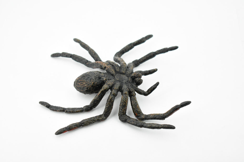 Wolf Spider, Arachnida, Museum Quality, Educational, Hand Painted, Rubber Insect, Diorama Model, Realistic, Kids, Toys, 5 Inches. 