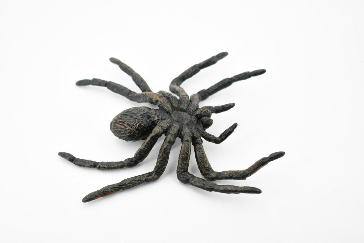 Wolf Spider, Arachnida, Museum Quality, Educational, Hand Painted, Rubber Insect, Diorama Model, Realistic, Kids, Toys, 5 Inches. 