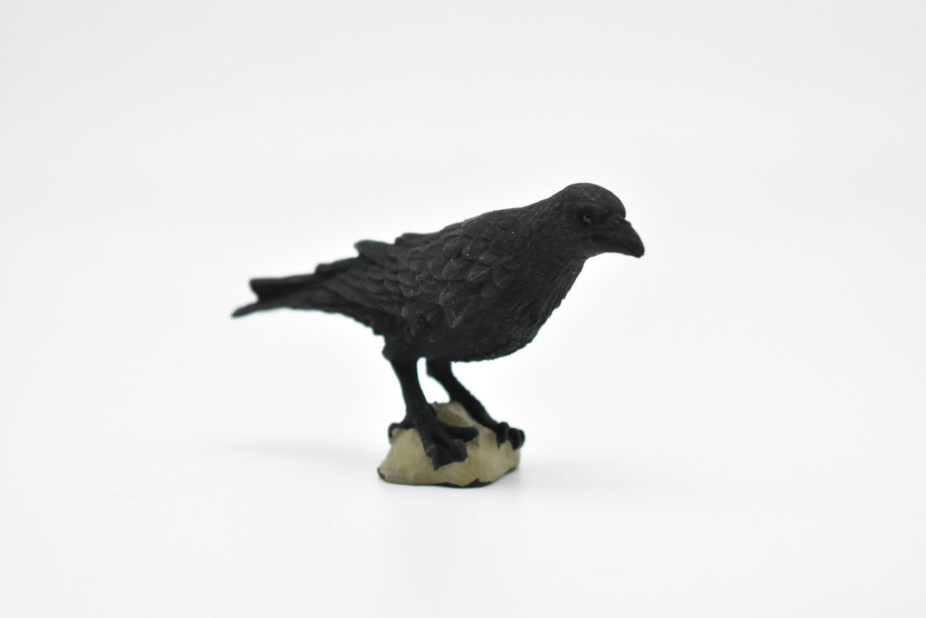 Raven, Crow Toy, Realistic Plastic Scale Model     3"      F1993 B624