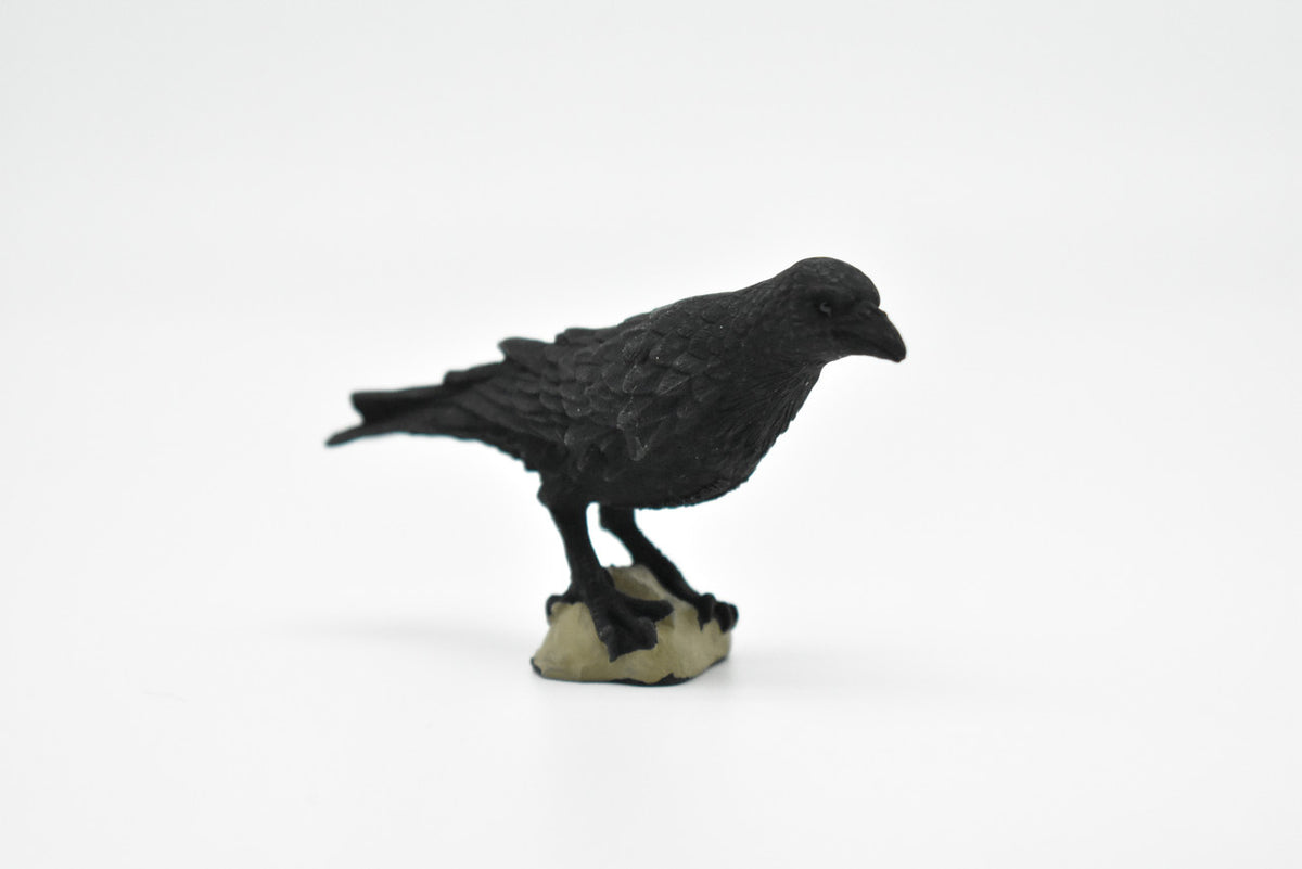 Raven, Crow Toy, Realistic Plastic Scale Model     3"      F1993 B624