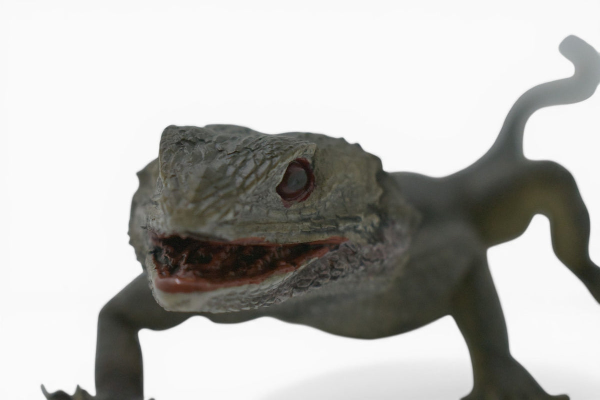 Spiny Lizard, Grey, Hand Painted, Educational, Museum Quality, Realistic, Rubber, Reptile, Lizard, Diorama Model, Figure, Toys, Kids, Gift, 12 Inches. IM31 B659