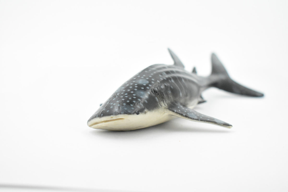 Whale Shark, Gentle Giant, Museum Quality, Educational, Hand Painted, Rubber Fish, Realistic Toy Figure, Diorama Model, Replica, Kids,  9 Inches.
