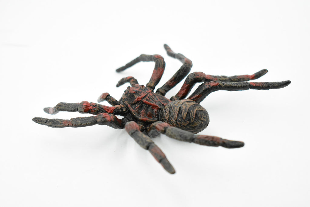 Wolf Spider, Arachnida, Museum Quality, Educational, Hand Painted, Rubber Insect, Diorama Model, Realistic, Kids, Toys, 5 Inches. 