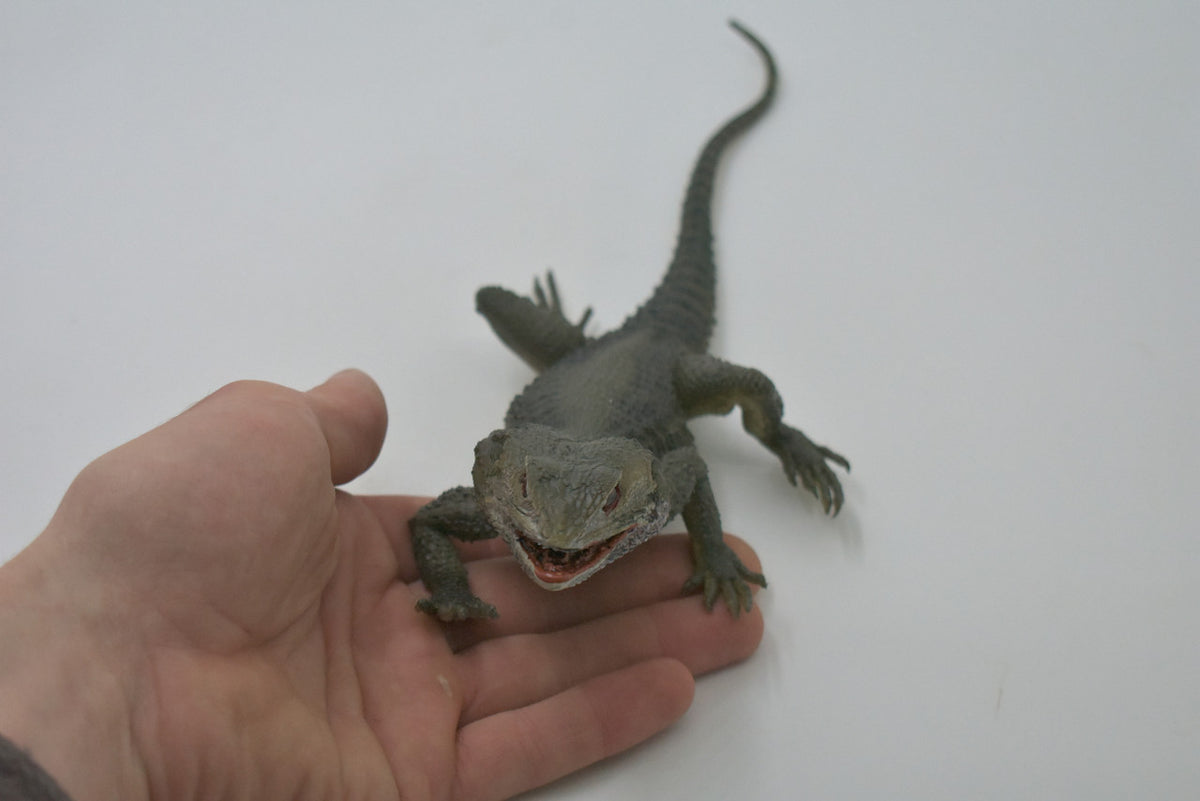 Spiny Lizard, Grey, Hand Painted, Educational, Museum Quality, Realistic, Rubber, Reptile, Lizard, Diorama Model, Figure, Toys, Kids, Gift, 12 Inches. IM31 B659