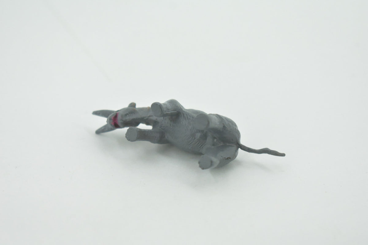 Arsnoitherium, Extinct order Embrithopoda, Prehistoric, High Quality, Hand Painted, Rubber, Realistic, Figure, Toy, Kids, Educational, Gift,     2 1/2"      CH662 BB169