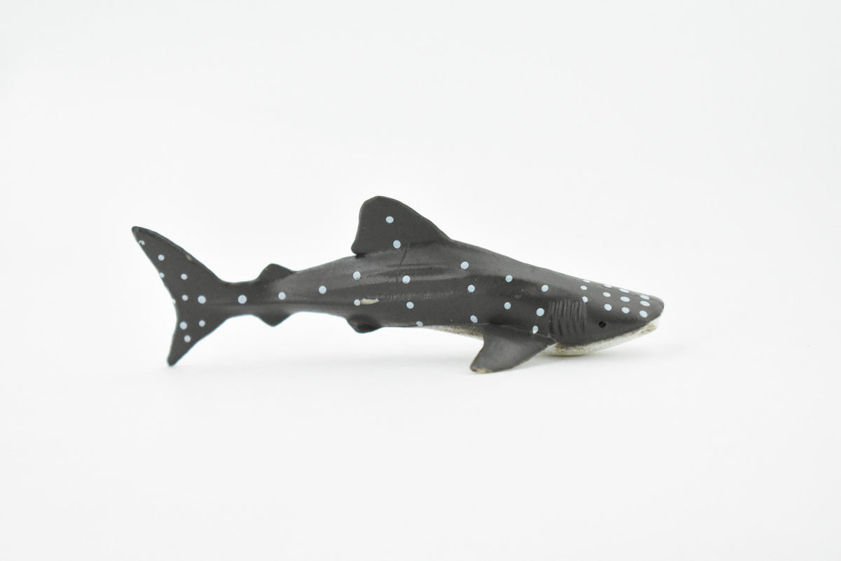 Whale Shark, Gentle Giant, Very Nice Design, Hand Painted, Educational, Rubber Fish, Diorama Model, Replica, Realistic Toy Figure, Kids, 3 Inches. 