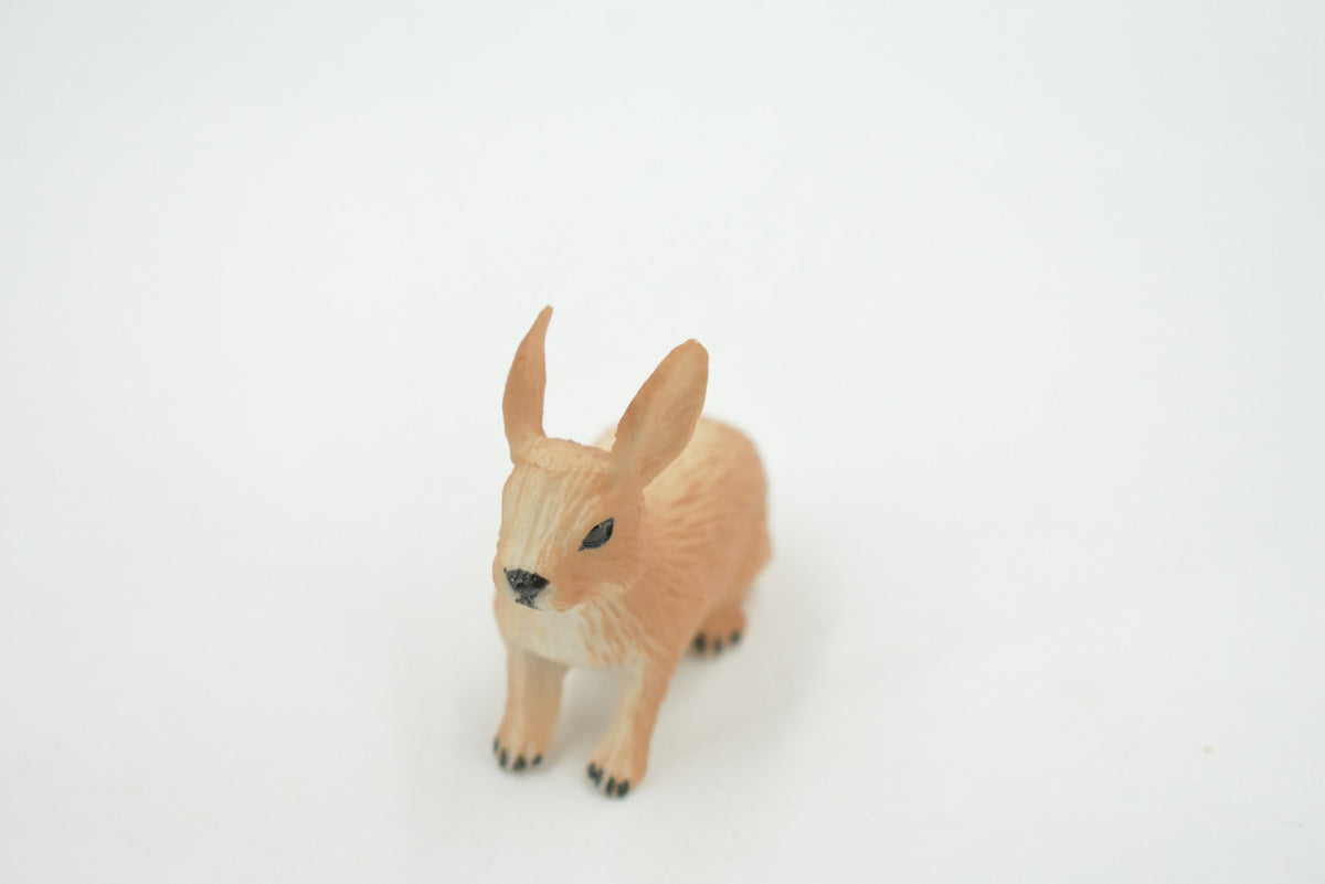 Rabbit, Hare, Bunny Rabbits, Museum Quality, Hand Painted, Rubber Animal, Toy, Figure, Realistic, Model, Replica, Kids, Educational, Gift,        2"      CH694 BB173