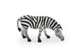 Zebra, Painted Horse, Getting a Drink, Museum Quality, Hand Painted, Educational, Rubber Animal, Realistic Toy Figure, Diorama Model, Kids, 5 Inches. 