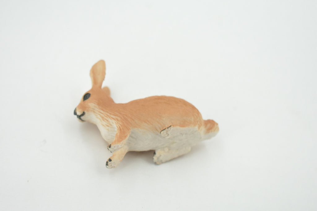 Rabbit, Hare, Bunny Rabbits, Museum Quality, Hand Painted, Rubber Animal, Toy, Figure, Realistic, Model, Replica, Kids, Educational, Gift,        2"      CH694 BB173
