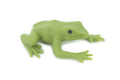 Green Tree Frog, Dumpy Tree Frog, Litoria caerulea, Hand Painted, Educational, Rubber Amphibian, Realistic Figure, Lifelike, Gift,    2 "   SF69B63