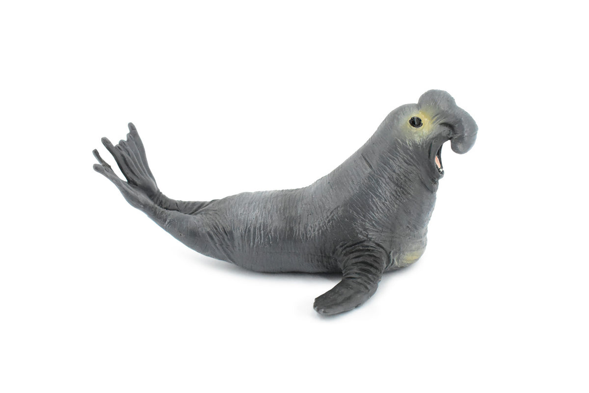 Elephant Seal, Pinnipeds, Marine Mammal, Museum Quality, Hand Painted, Educational, Rubber Fish, Diorama Model, Realistic Toy Figure, Kids,  7 Inches.