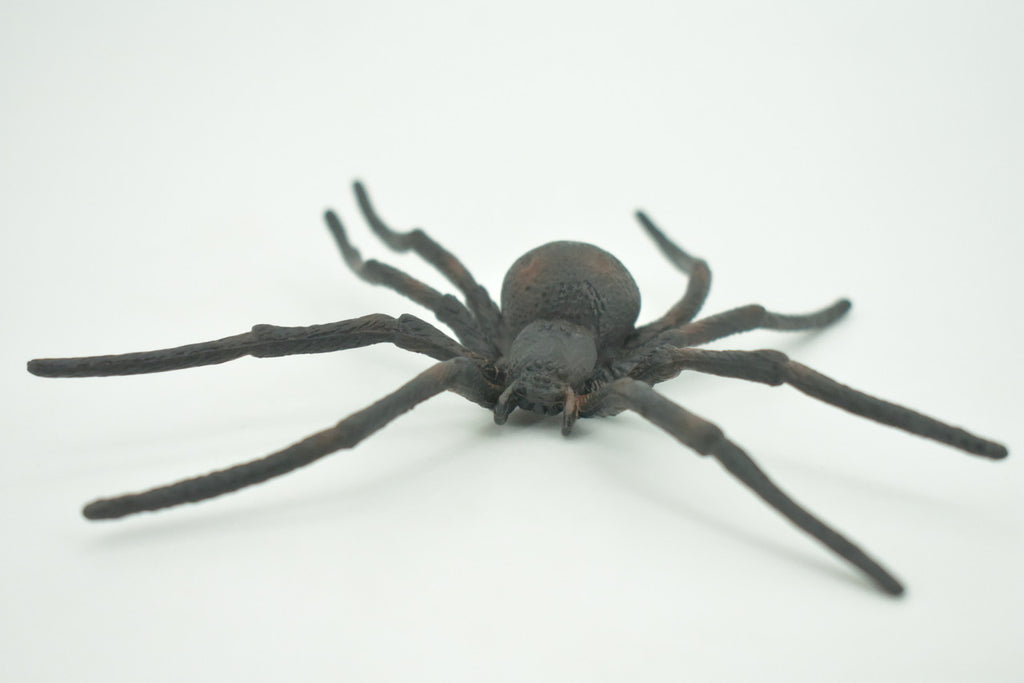 Spider, Black Widow, Latrodectus, High Quality, Hand Painted, Hard Rubber, Insect, Realistic, Figure, Model, Replica, Toy, Kids, Educational, Gift,     4"   CH290 BB179