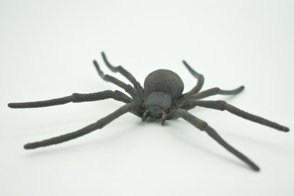 Spider, Black Widow, Latrodectus, High Quality, Hand Painted, Hard Rubber, Insect, Realistic, Figure, Model, Replica, Toy, Kids, Educational, Gift,     4"   CH290 BB179