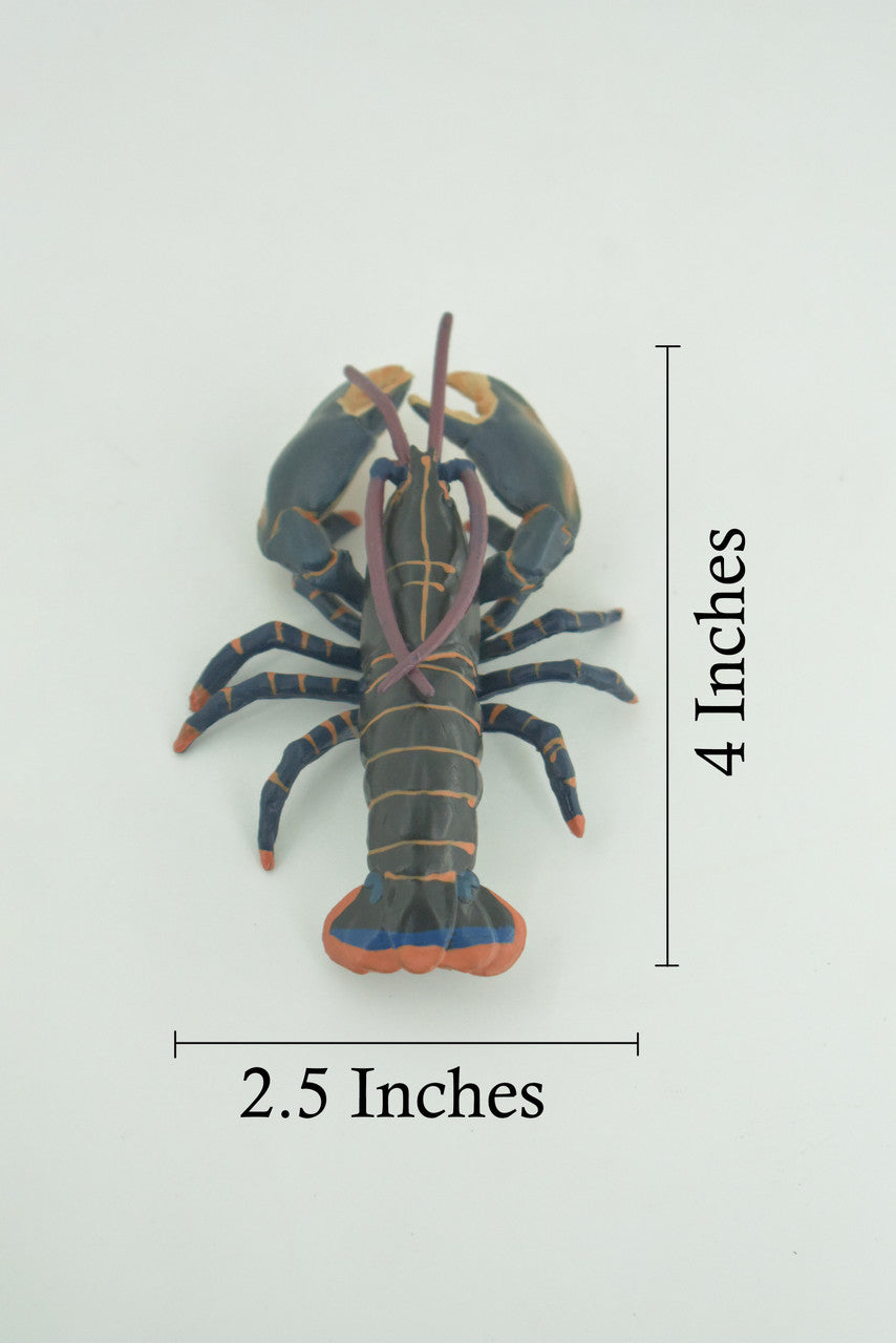 Lobster, Boston, American, Museum Quality, Rubber Crustacean, Hand Painted, Realistic Toy Figure, Diorama, Model, Kids, Educational, Gift, 4 Inches. CH1002 BB218 