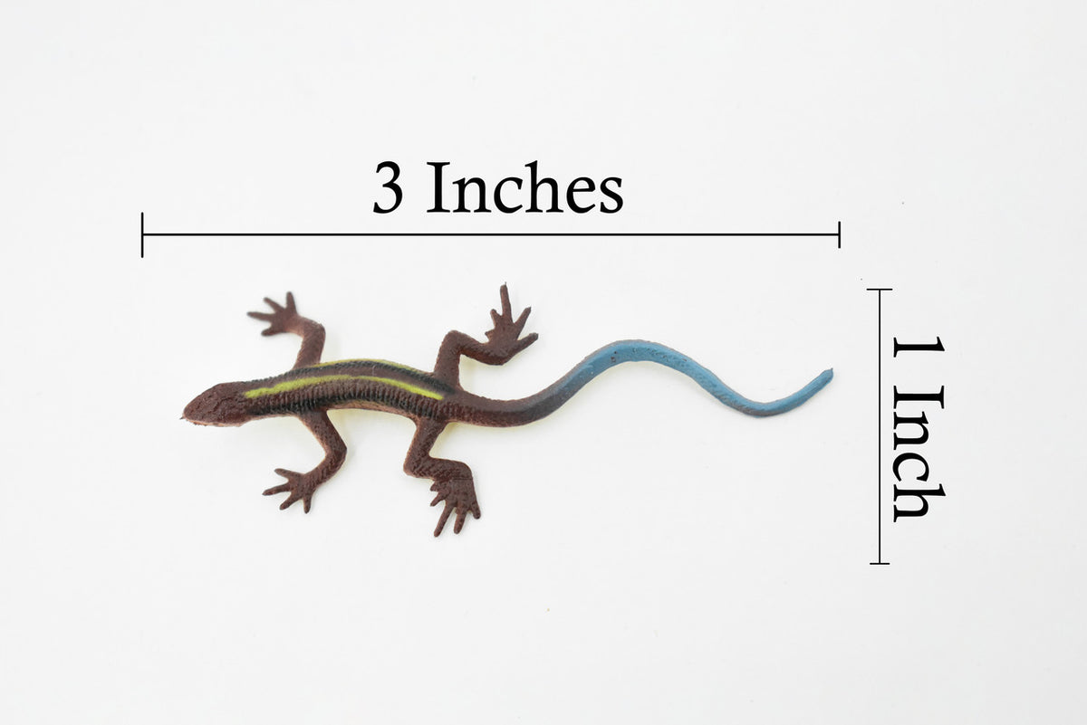 Lizard, Dark Brown with Blue Tail, Rubber Reptile Toy, Realistic Figure, Model, Replica, Kids, Educational, Gift,    3"     F6064 B380