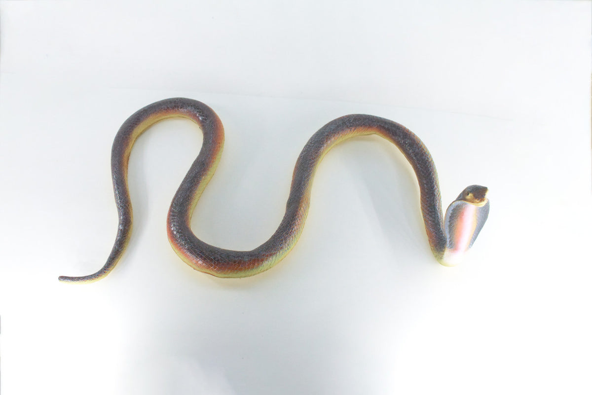 Cobra, Very Large, Hand Painted, Museum Quality, Soft Rubber Snake, Realistic Reptile, Diorama Model, Replica, Educational, Gift,  24 Inches.    IM26 B658