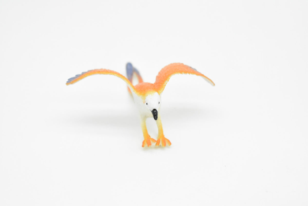 Confuciusornis, Extinct Bird, Very Nice Plastic Reproduction   3"    F619 B124