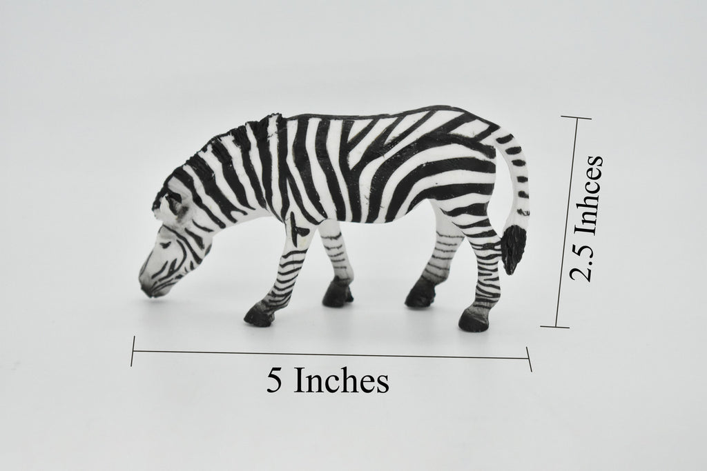 Zebra, Painted Horse, Getting a Drink, Museum Quality, Hand Painted, Educational, Rubber Animal, Realistic Toy Figure, Diorama Model, Kids, 5 Inches. 