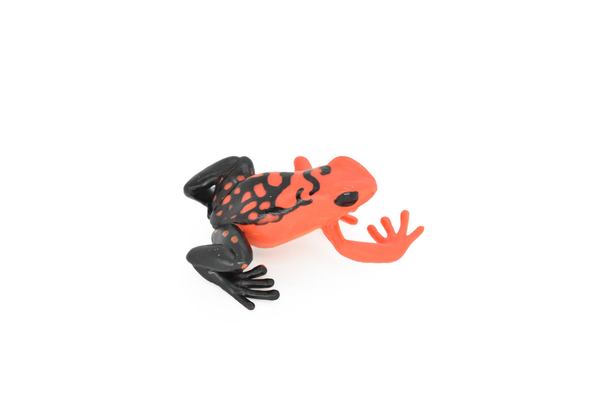Frog, Toy, Red Poison Dart, Arrow Frog, Very Realistic Rubber Figure, Model, Educational, Animal, Hand Painted Figurines,   2 1/2"    CH035 BB74