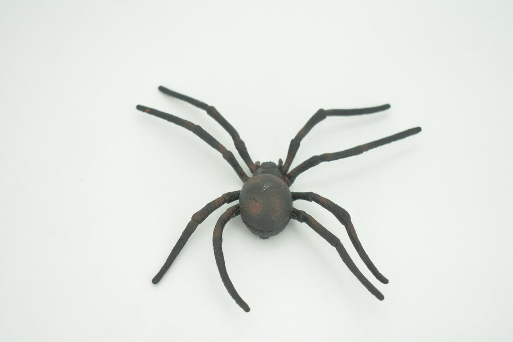 Spider, Black Widow, Latrodectus, High Quality, Hand Painted, Hard Rubber, Insect, Realistic, Figure, Model, Replica, Toy, Kids, Educational, Gift,     4"   CH290 BB179