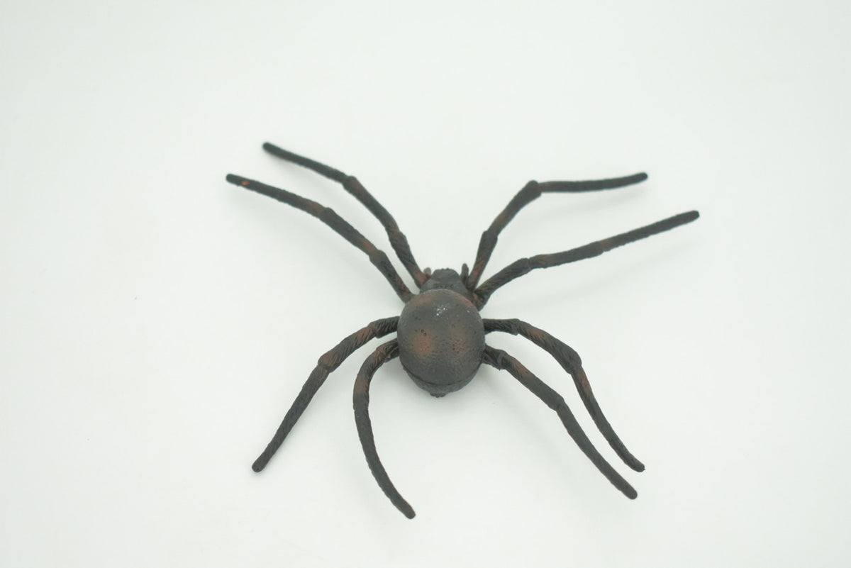 Spider, Black Widow, Latrodectus, High Quality, Hand Painted, Hard Rubber, Insect, Realistic, Figure, Model, Replica, Toy, Kids, Educational, Gift,     4"   CH290 BB179