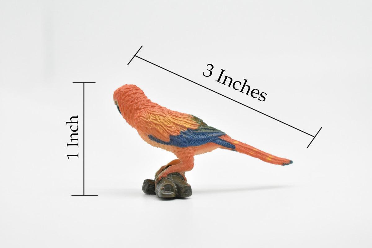 Scarlet Macaw, Red Parrot, Ara Macao, Museum Quality, Realistic, Rubber Bird Design, Educational, Hand Painted, Figure, Lifelike, Model, Figurine, Replica,  3 Inches 