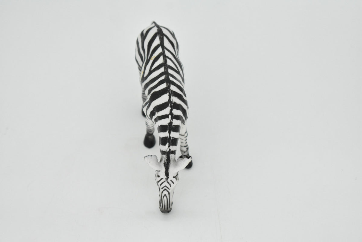 Zebra, Painted Horse, Getting a Drink, Museum Quality, Hand Painted, Educational, Rubber Animal, Realistic Toy Figure, Diorama Model, Kids, Gift,    5 Inches.    CH103 BB88