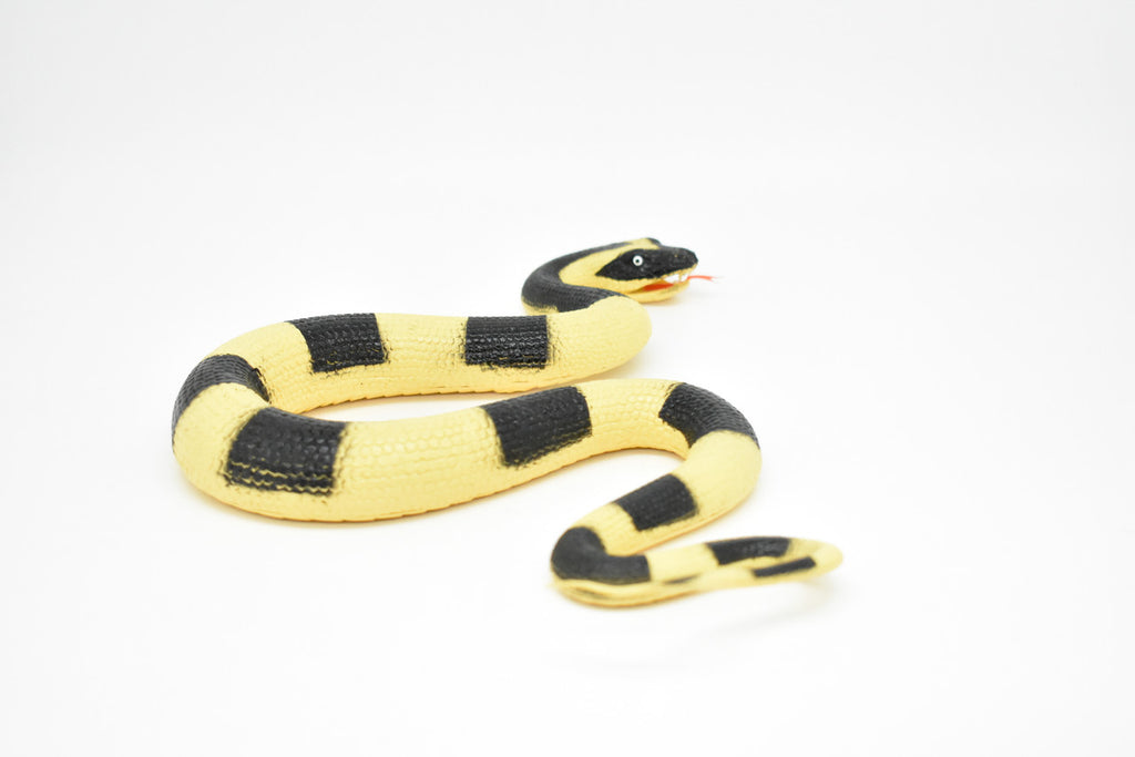 Snake, Banded Krait, Yellow and Black Snake, Coied, Rubber Reptile, Educational, Realistic Hand Painted, Figure, Lifelike Model, Figurine, Replica, Gift,       12"      F3590 B492