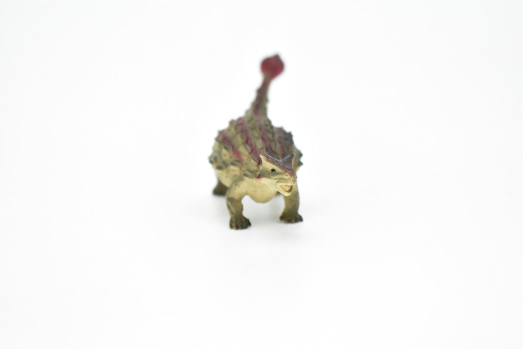 Ankylosaurus Dinosaur, Museum Quality, Animal, Educational, Realistic Hand Painted, Figure, Lifelike Model, Vintage Replica, Toy, Gift,    3 Inches.  F8105 B117