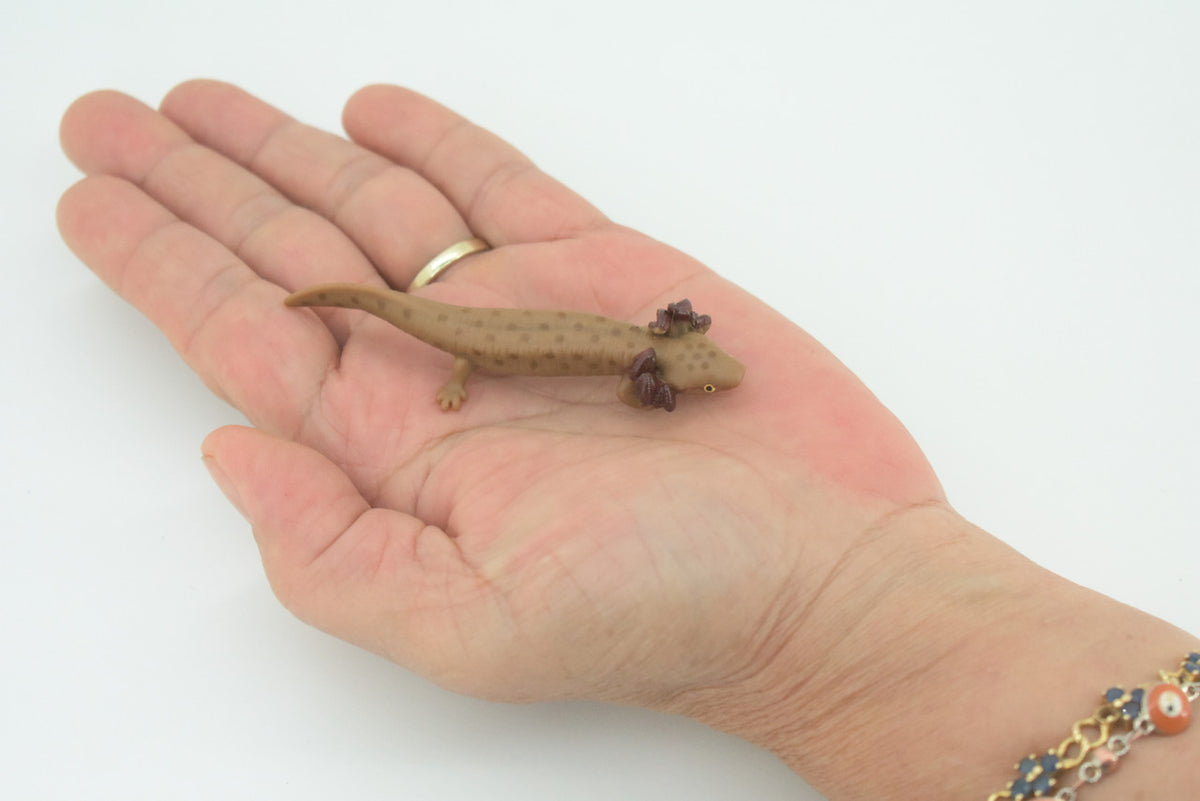 Mudpuppy, Common, Hand Painted, Educational, Rubber Salamander, Realistic Figure, Lifelike Model, Figurine, Replica, Gift,    3"     SF16 B31