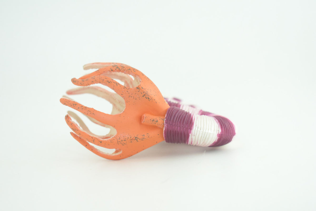 Ammonite Prehistoric Marine Animal, Ocean Fossil, Museum Quality, Rubber, Hand Painted, Realistic Toy Figure, Diorama Model, Kids, Educational, Gift,   4 Inches.   CH1048 BB216