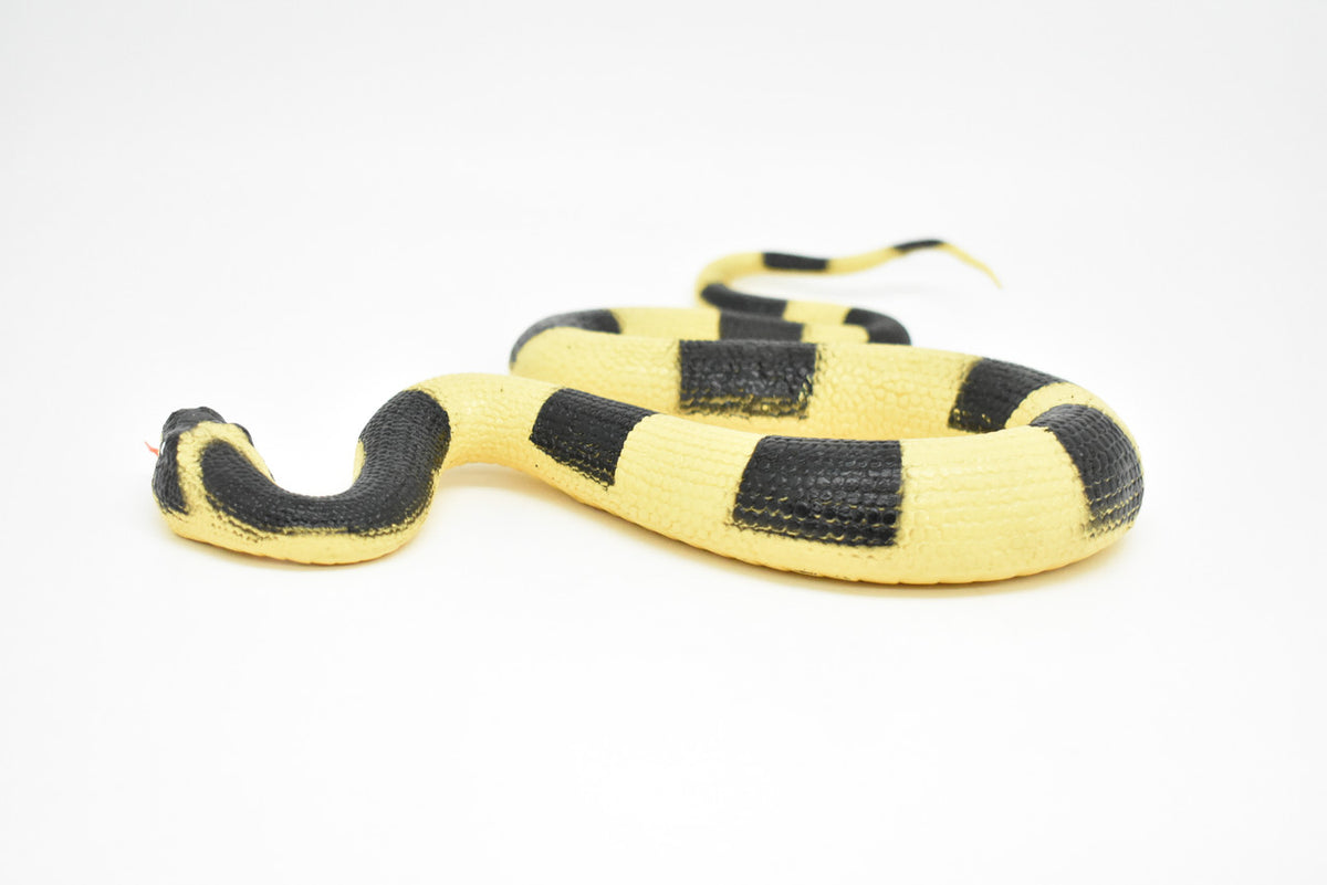 Snake, Banded Krait, Yellow and Black Snake, Coied, Rubber Reptile, Educational, Realistic Hand Painted, Figure, Lifelike Model, Figurine, Replica, Gift,       12"      F3590 B492