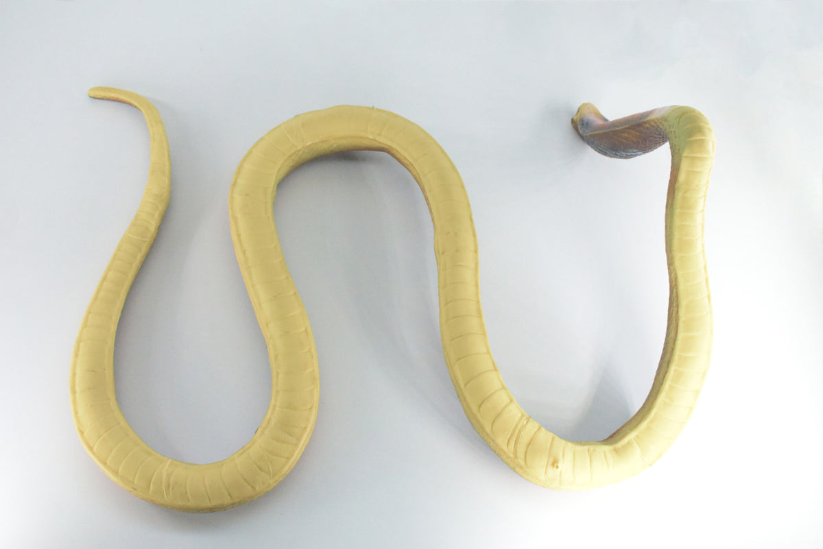 Cobra, Very Large, Hand Painted, Museum Quality, Soft Rubber Snake, Realistic Reptile, Diorama Model, Replica, Educational, Gift,  24 Inches.    IM26 B658